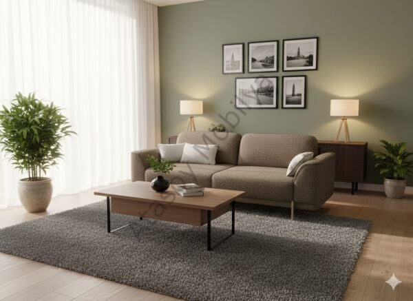 Vizyon Koltuk Takımı