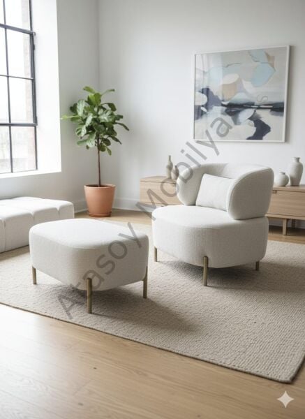 Vizyon Koltuk Takımı